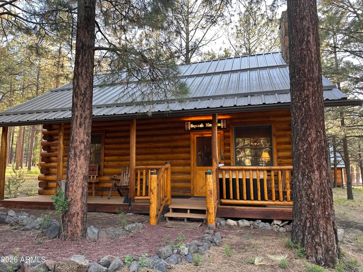 11 County Road N1333 --, Greer, AZ 85927 - #1