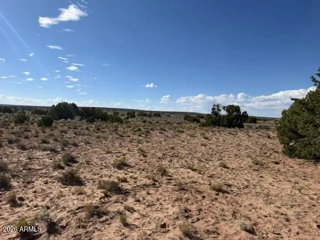TBD County Rd N7207 --, Saint Johns, AZ 85936 - #1