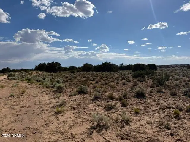 TBD County Rd N7207 --, Saint Johns, AZ 85936 - #3