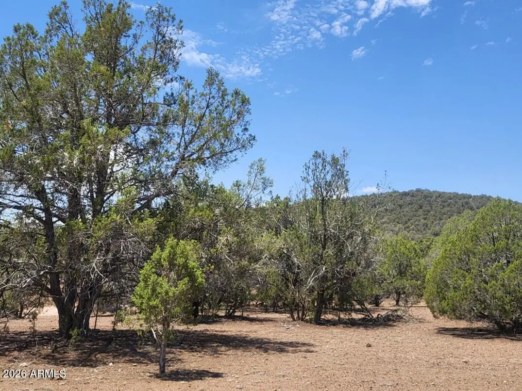 160B Cattle Drive #160, Williams, AZ 86046 - #1