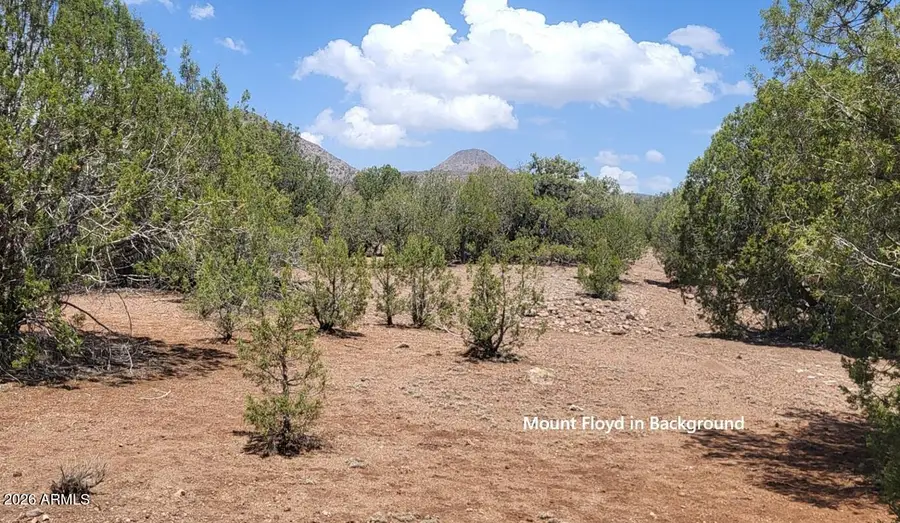160B Cattle Drive #160, Williams, AZ 86046 - #3