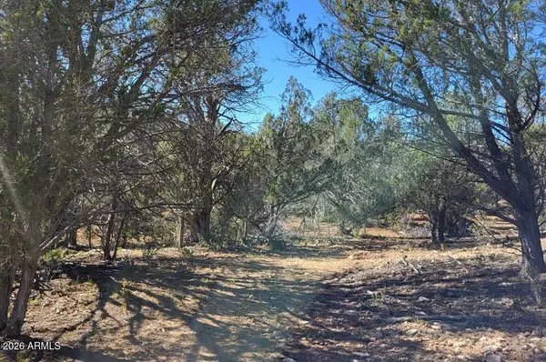 918 Wolf Road #918, Ash Fork, AZ 86320