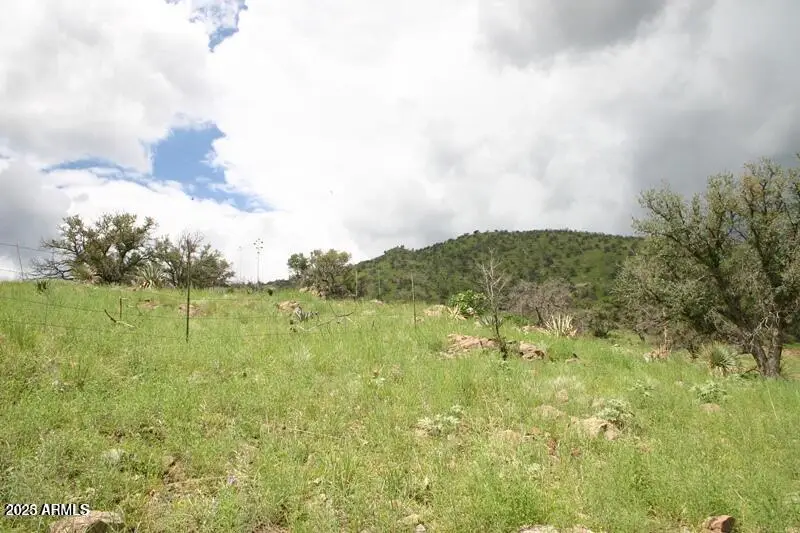 009N One More Road, Hereford, AZ 85615 - #1