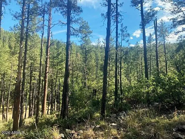 21 S Vista Drive #21, Payson, AZ 85541 - #3