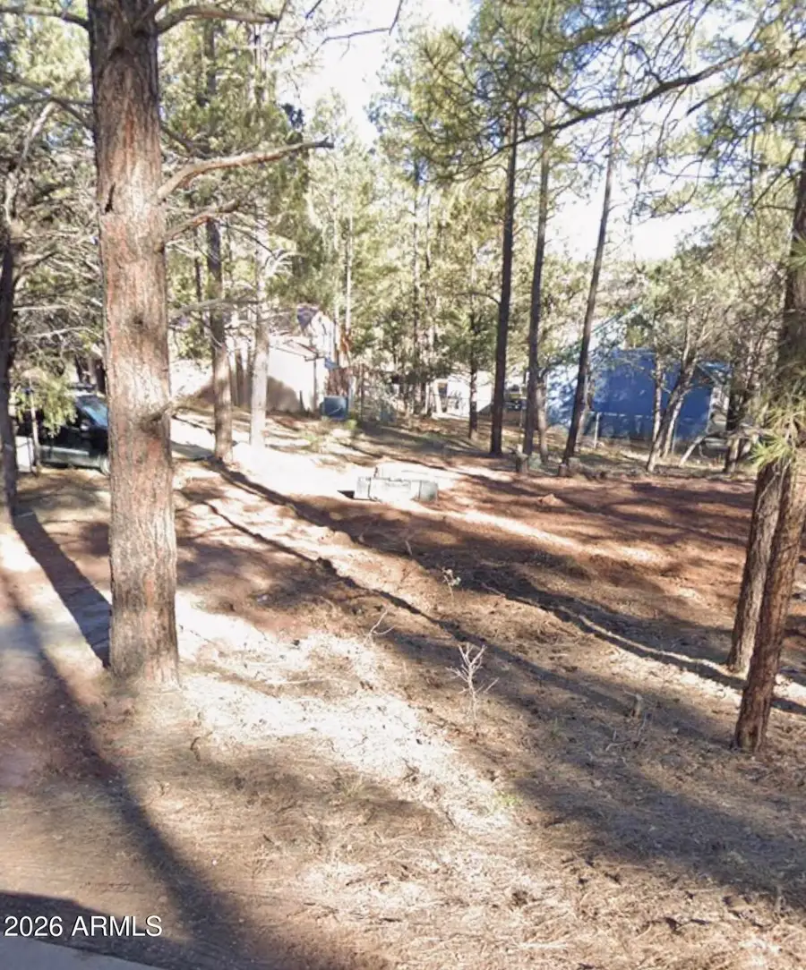4317 Antelope Lane #74, Show Low, AZ 85901 - #3