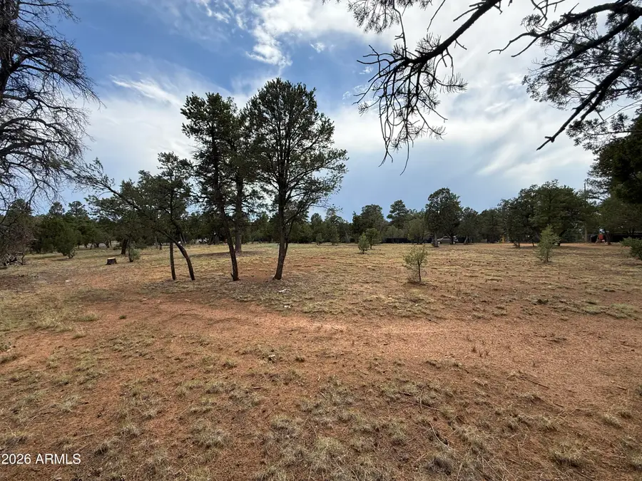 3048 Chevelon Road #147, Overgaard, AZ 85933 - #2