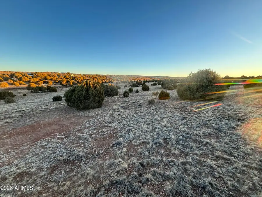 4967 Hollyhock Street, Clay Springs, AZ 85923 - #3