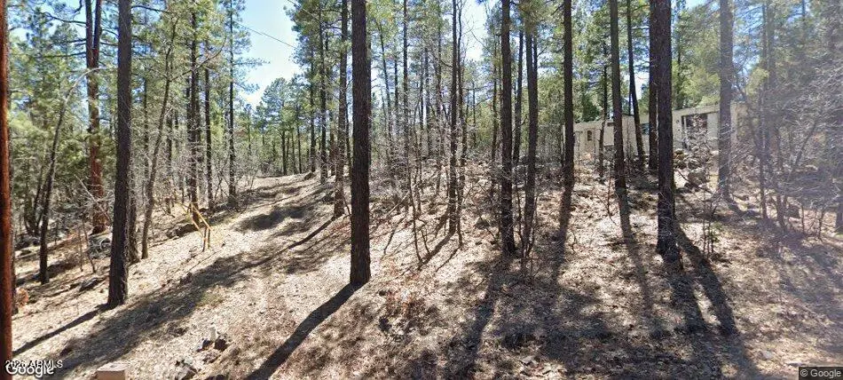 1437 E Elk Lane #33, Pinetop Lakeside, AZ 85929 - #1