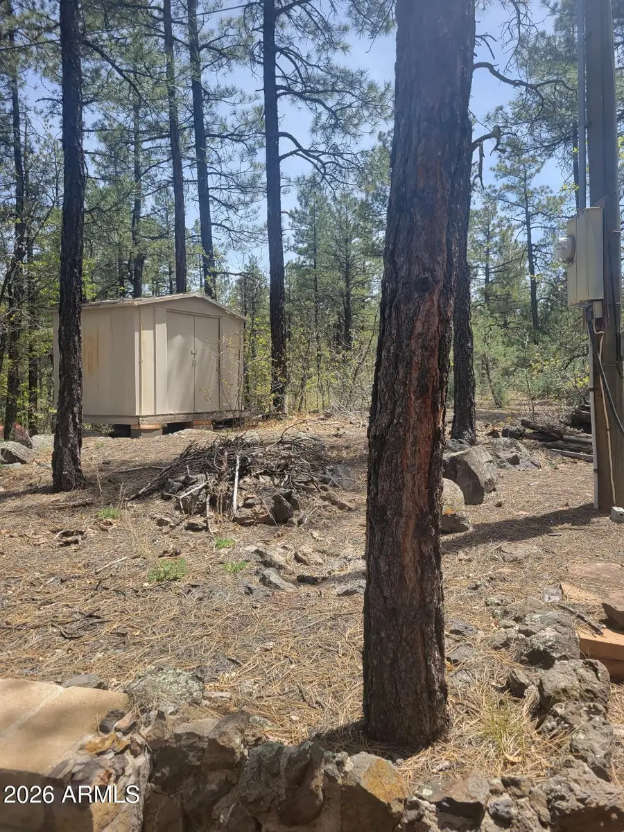 1437 E Elk Lane #33, Pinetop Lakeside, AZ 85929 - #2