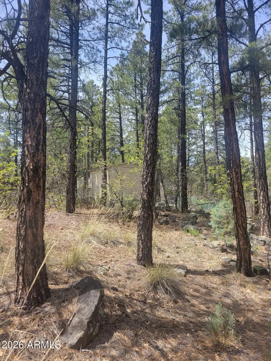 1437 E Elk Lane #33, Pinetop Lakeside, AZ 85929 - #3
