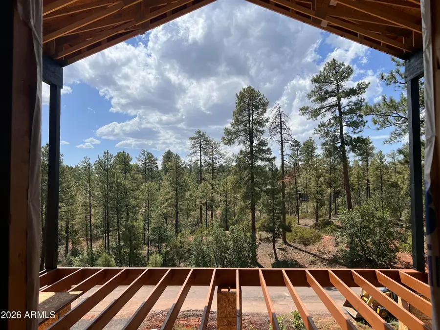7384 Carina Lane, Lakeside, AZ 85929 - #2