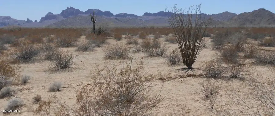 56366 W Centennial Road, Tonopah, AZ 85354 - #2