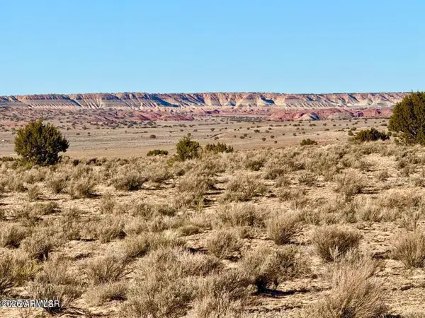0 N7009 40 Acres --, Chambers, AZ 86502
