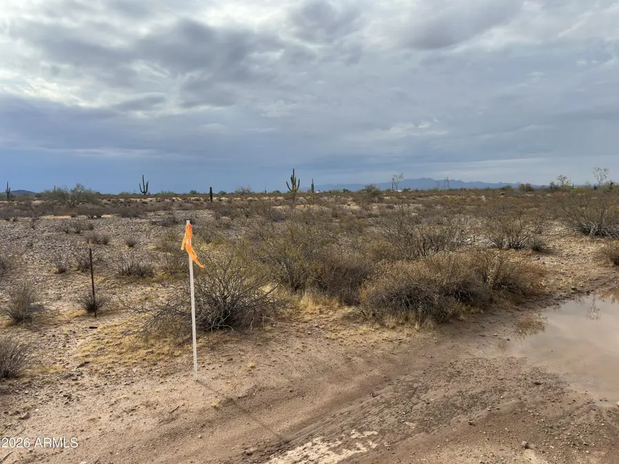 334xx W Painted Wagon Trail #55, Wittmann, AZ 85361 - #3