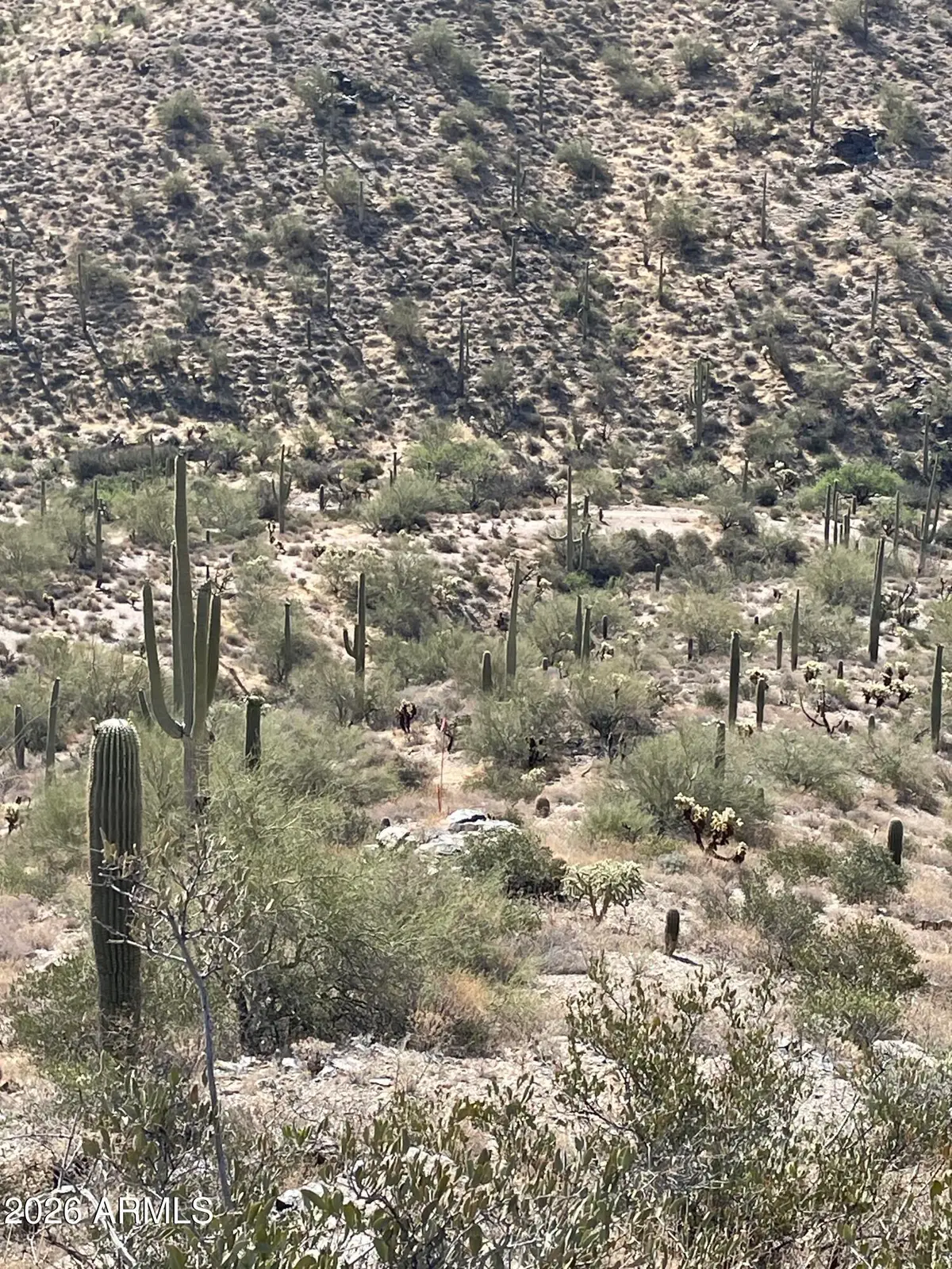 3246 N Silver Tip Trail, Queen Valley, AZ 85118 - #1