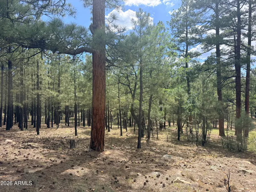 3212 Apache Drive #589, Happy Jack, AZ 86024 - #2