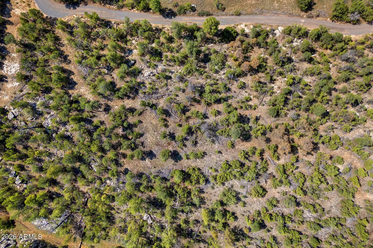 1794 Canyon Drive, Heber, AZ 85928 - #1