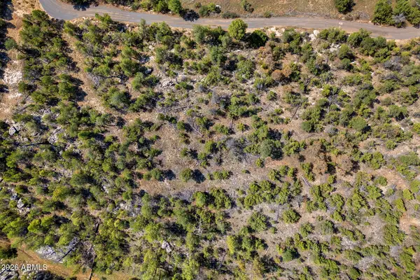 1794 Canyon Drive, Heber, AZ 85928