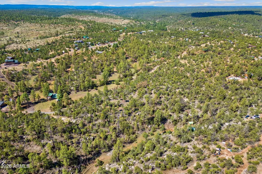 1794 Canyon Drive, Heber, AZ 85928 - #2