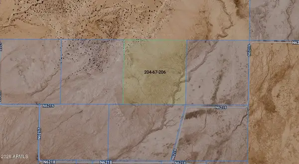 TBD Carrizo Ranch 204-67-206 -- #206, St Johns, AZ 85936