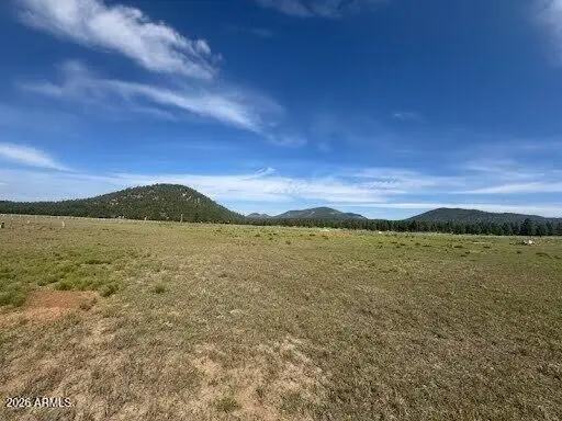 Lot 36 N Spring Valley Road, Parks, AZ 86018 - #1