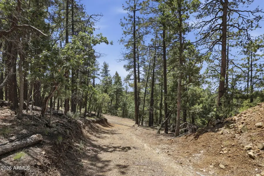 4696 S Jack Pine Road #17, Prescott, AZ 86303 - #2