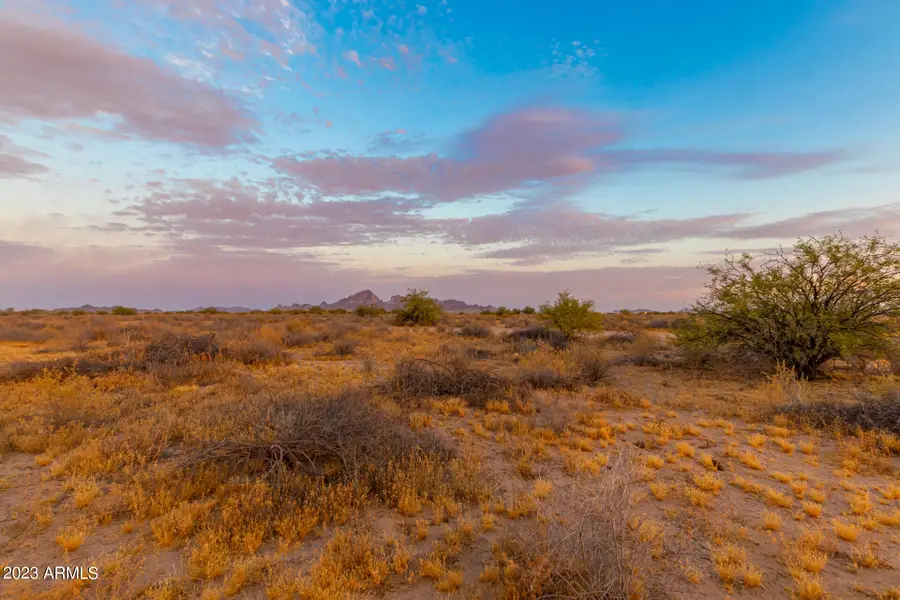 490 W Lotus Lane #29, Tonopah, AZ 85354 - #2