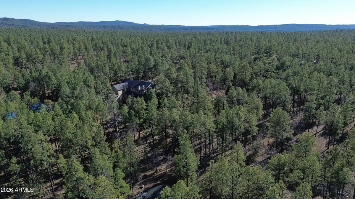 2849 S Timber Pine Lane #5, Pinetop Lakeside, AZ 85929 - #1
