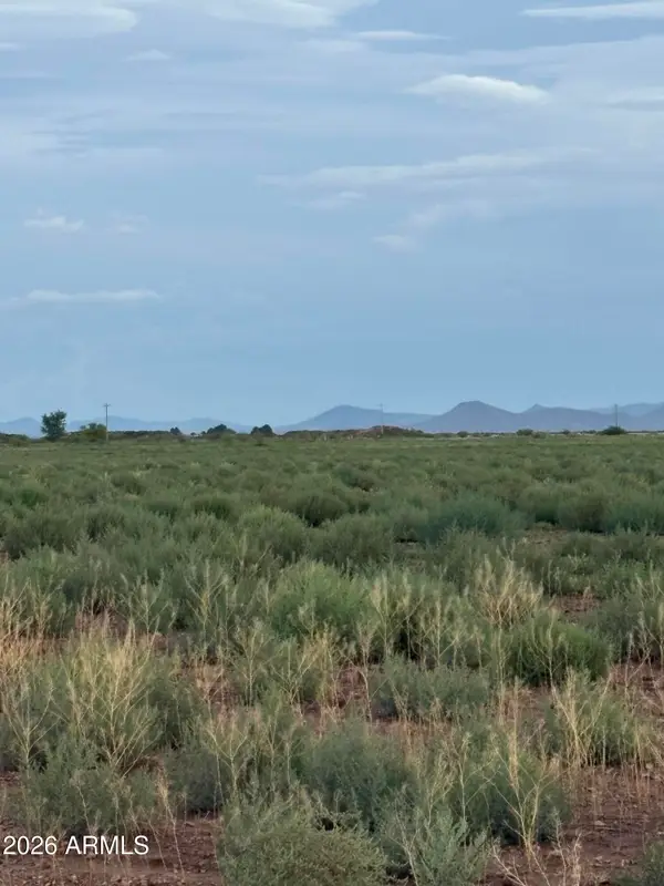 xx Adams Street #15, Willcox, AZ 85643