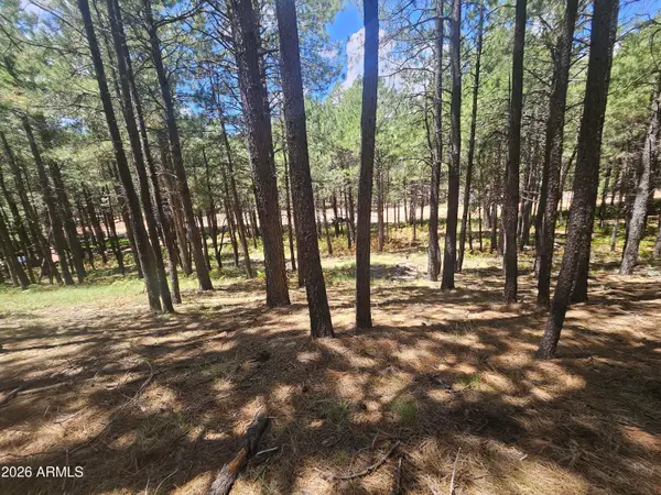 589 Trout Springs Road #71, Forest Lakes, AZ 85931