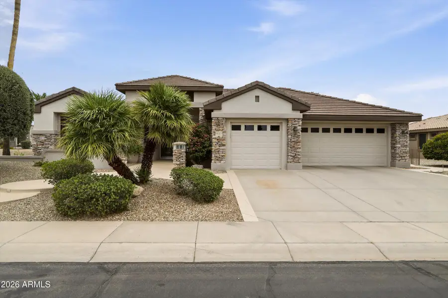 18461 N Hibiscus Lane, Surprise, AZ 85374 - #3