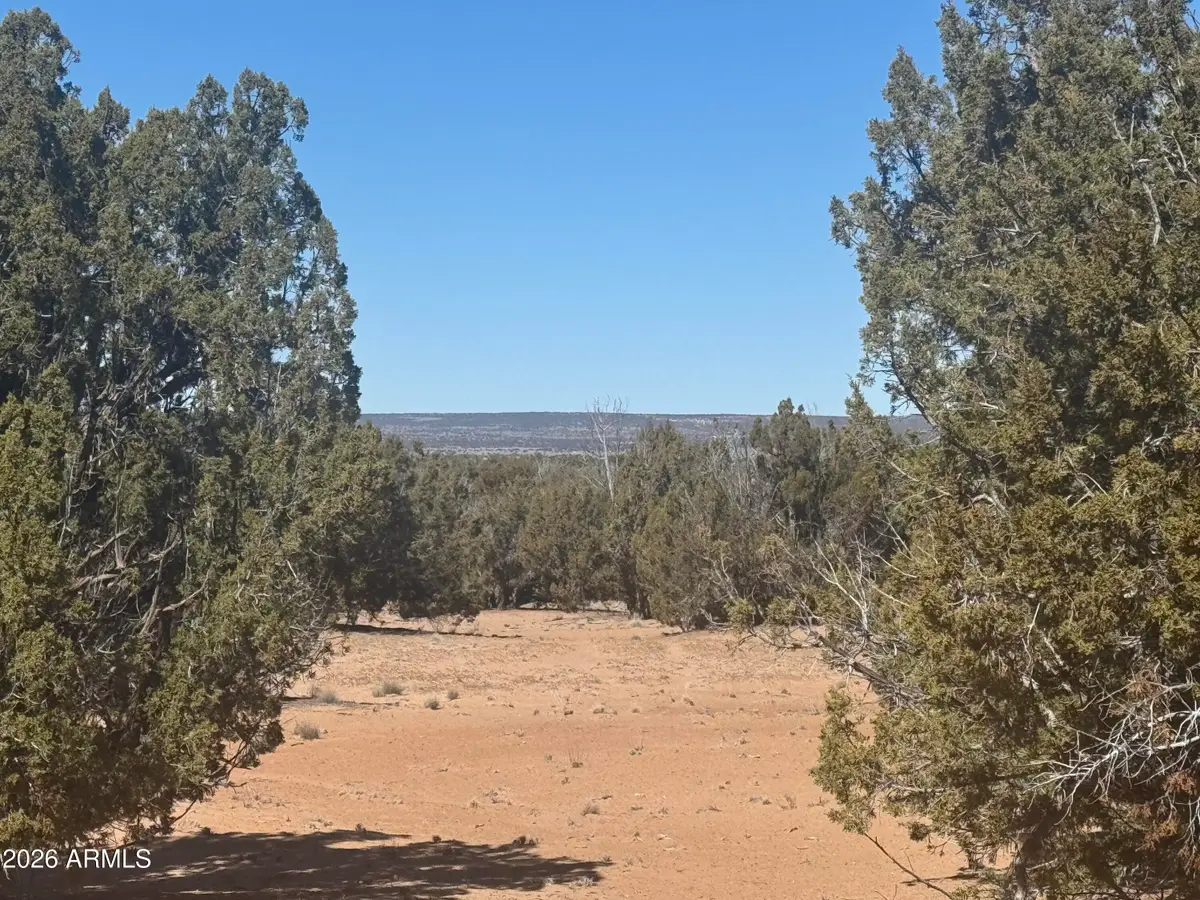 Lot 52 Witch Well Ranchos -- #52, Saint Johns, AZ 85936 - #1