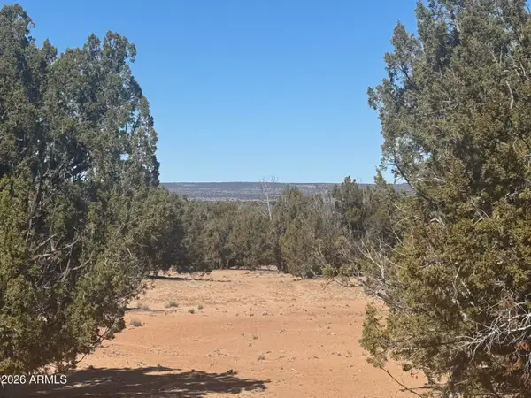 Lot 52 Witch Well Ranchos -- #52, St Johns, AZ 85936