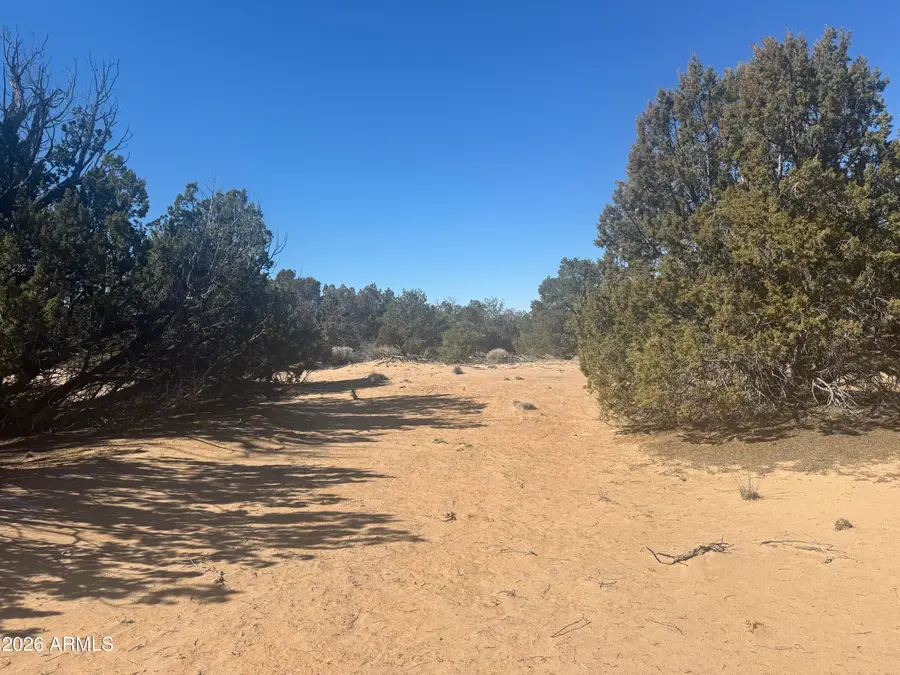 Lot 52 Witch Well Ranchos -- #52, Saint Johns, AZ 85936 - #2