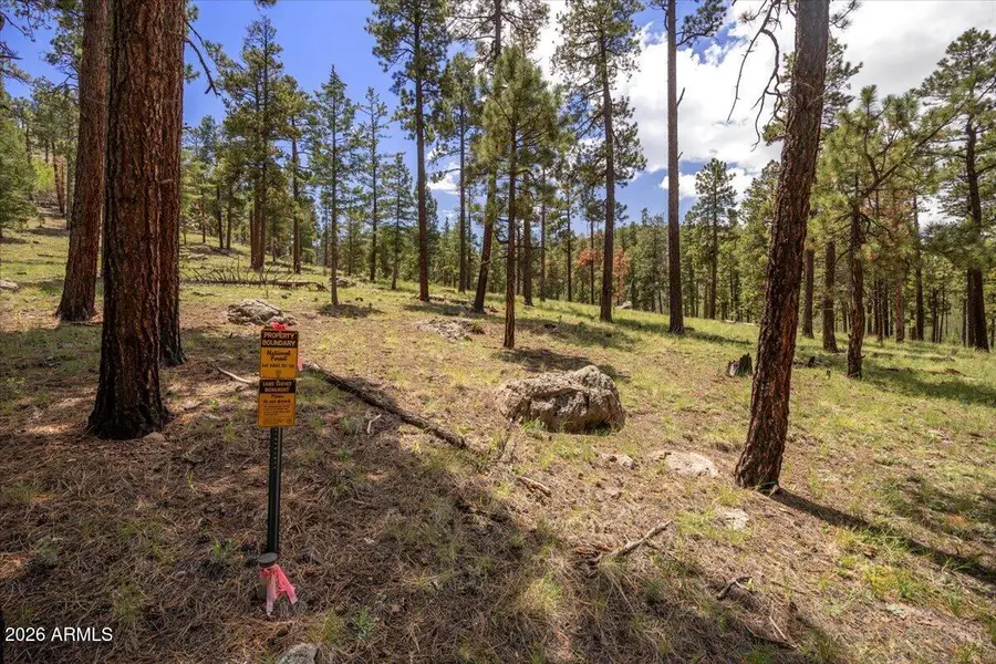 14 County Road N1062 -- #15, Greer, AZ 85927 - #2