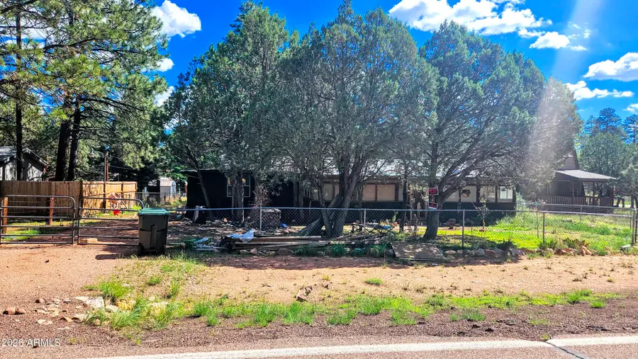 2863 Pine Rim Road, Overgaard, AZ 85933 - #3