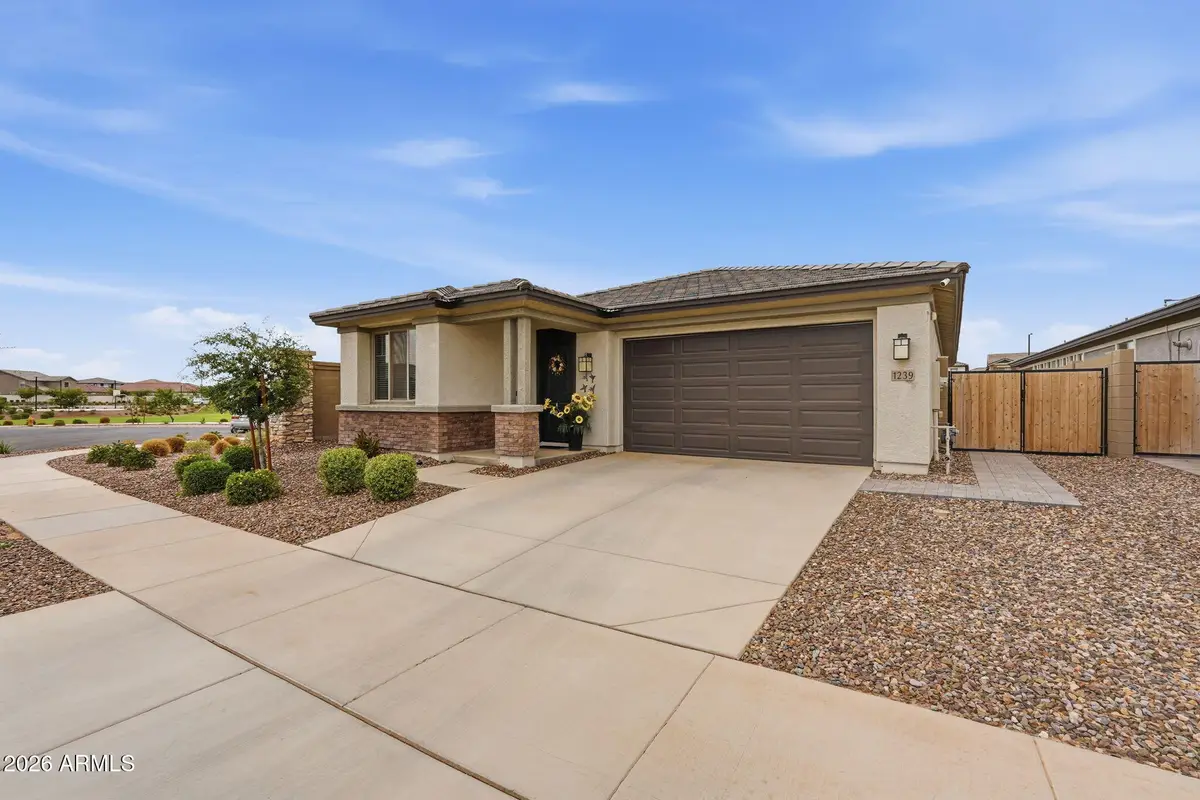 1239 W Macaw Court, Queen Creek, AZ 85140 - #1