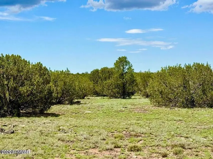 85 Co Rd 8128 Lots 100, 101 & 108 3.33 --, Concho, AZ 85924 - #2