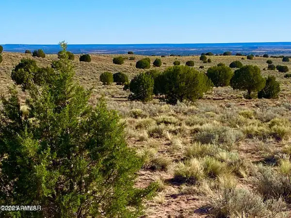 River Meadows Ranch Unit 3 Lot 204 --, Concho, AZ 85924