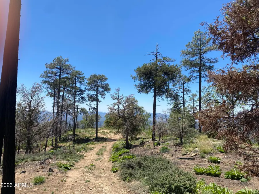 1002 S Turkey Trot Trail, Prescott, AZ 86303 - #3