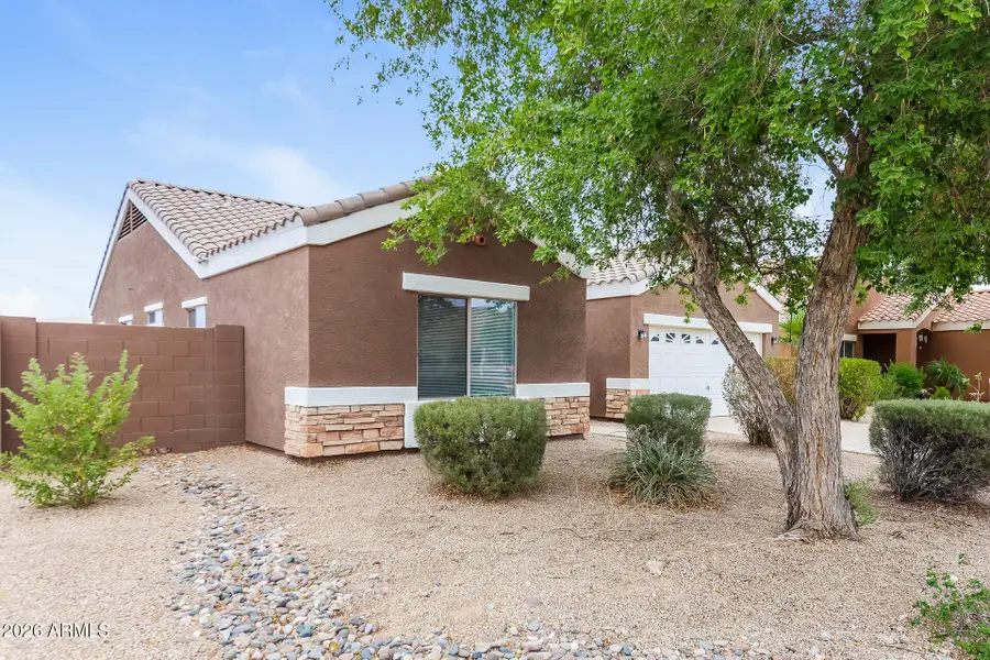 13289 N Primrose Street, El Mirage, AZ 85335 - #2