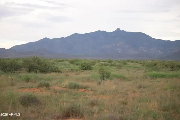 TBD S Arzberger Road, Willcox, AZ 85643