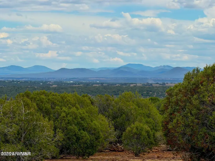 8063 Mustang Ln 10 Acres --, Show Low, AZ 85901 - #2