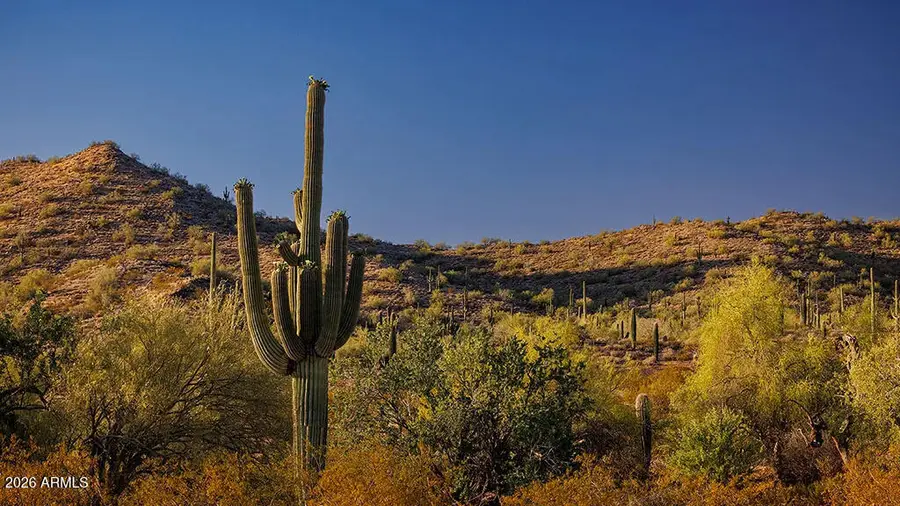 31583 N Goldfield Road, Queen Creek, AZ 85144 - #2