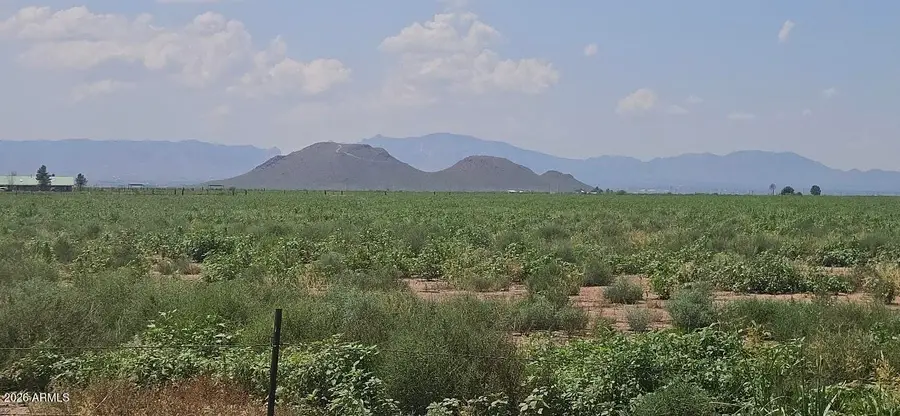 20 Acres S Robison Road #5, Willcox, AZ 85643 - #3