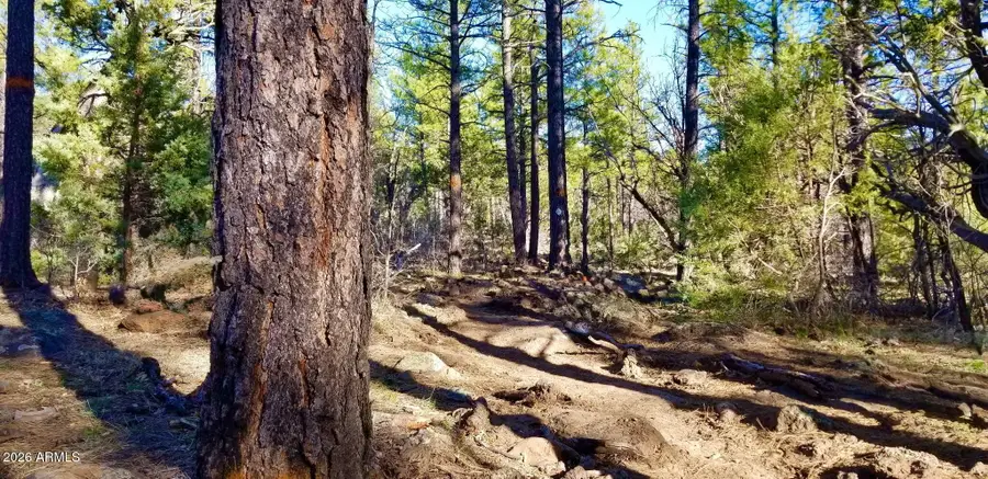 2259 E T Bear Trail #'-', Lakeside, AZ 85929 - #3