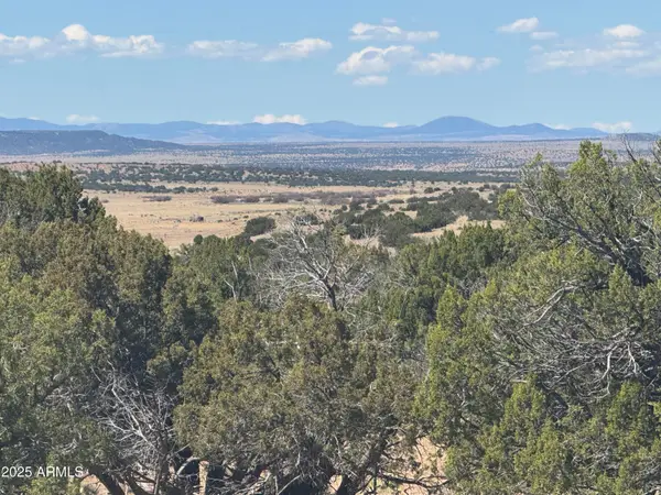 Lot 752 Woodland Valley Ranch -- #752, St Johns, AZ 85936