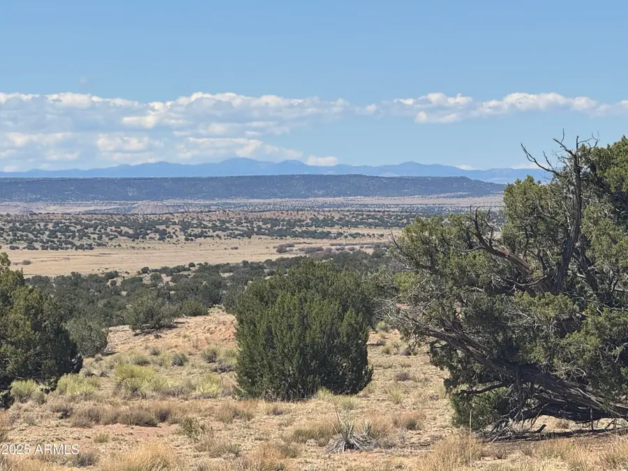 Lot 752 Woodland Valley Ranch -- #752, Saint Johns, AZ 85936 - #2
