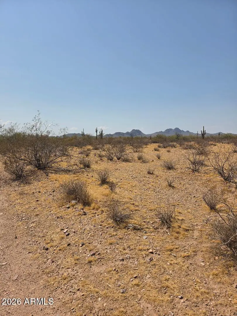 xxxxx W Carlise Road #85 5, Wickenburg, AZ 85390 - #3