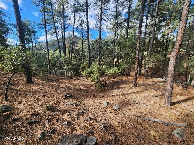 000 N Sundown Lane Lane #104, Pine, AZ 85544 - #1